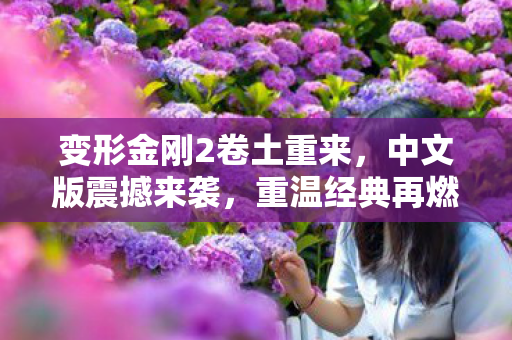 变形金刚2中文版震撼来袭图片