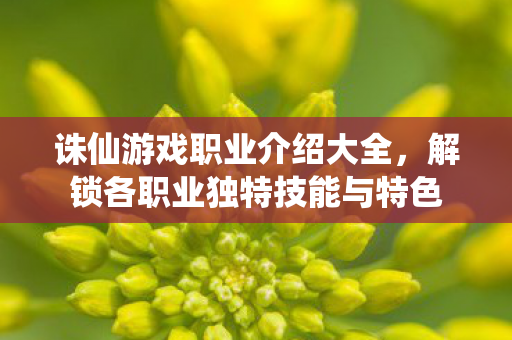 解锁各职业独特技能与特色图片