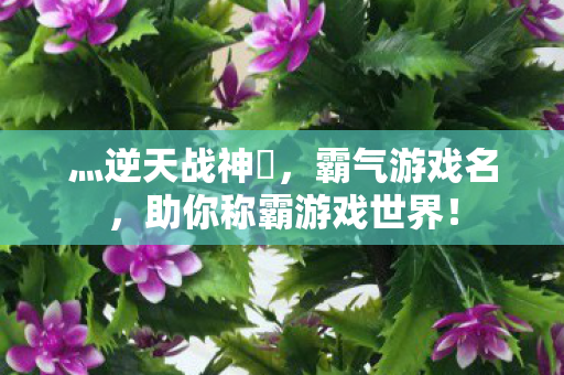 灬逆天战神乄,霸气游戏名,助你称霸游戏世界! 灬逆天战神乄,霸气游戏名,助你称霸游戏世界!