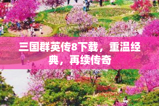 三国群英传8下载图片