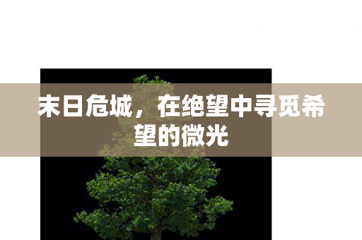 在绝望中寻觅希望的微光图片