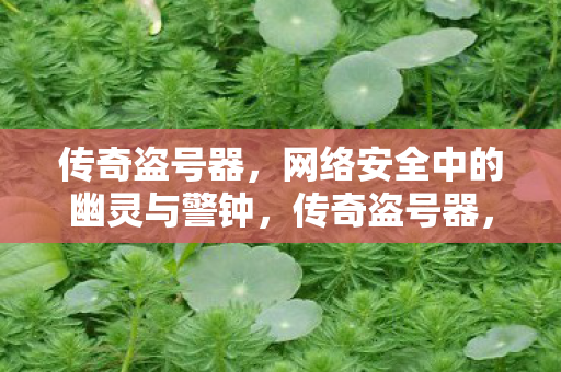 网络安全中的幽灵与警钟图片