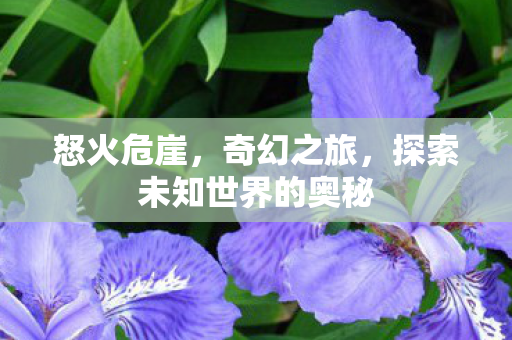 探索未知世界的奥秘图片