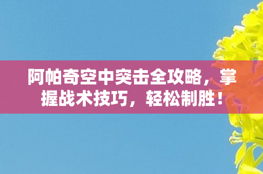 阿帕奇空中突击全攻略图片