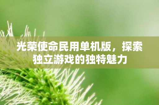 探索独立游戏的独特魅力图片