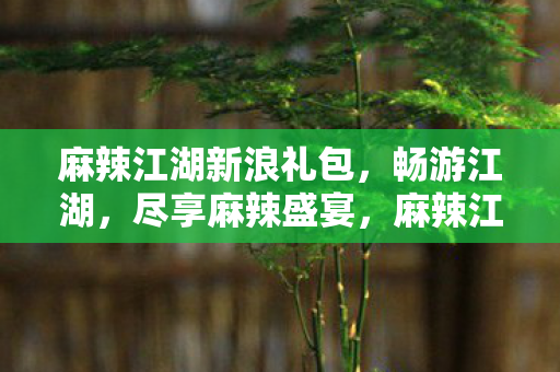 麻辣江湖新浪礼包,畅游江湖,尽享麻辣盛宴,麻辣江湖新浪礼包,畅游江湖,尽享麻辣盛宴 麻辣江湖新浪礼包,畅游江湖,尽享麻辣盛宴,麻辣江湖新浪礼包,畅游江湖,尽享麻辣盛宴