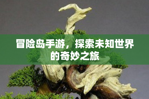 探索未知世界的奇妙之旅图片