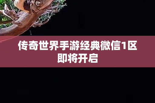 传奇世界手游经典微信1区即将开启图片