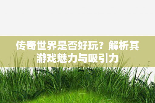 解析其游戏魅力与吸引力图片