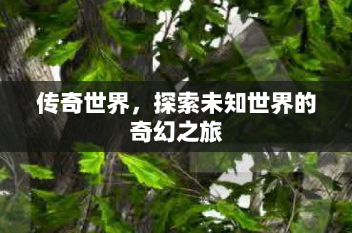 传奇世界,探索未知世界的奇幻之旅 传奇世界,探索未知世界的奇幻之旅