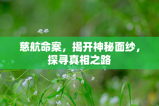 揭开神秘面纱图片