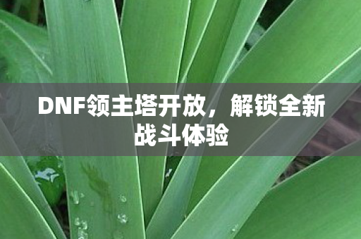 DNF领主塔开放图片