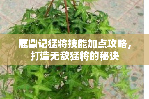 鹿鼎记猛将技能加点攻略图片