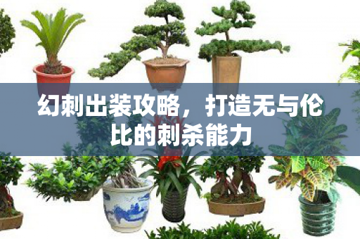 打造无与伦比的刺杀能力图片