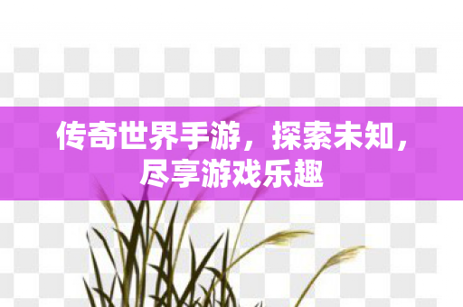 传奇世界手游图片
