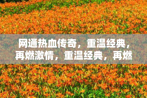 网通热血传奇图片