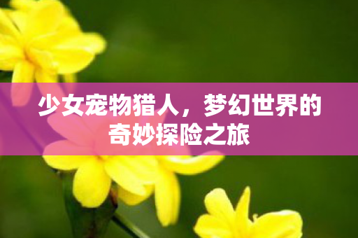 梦幻世界的奇妙探险之旅图片
