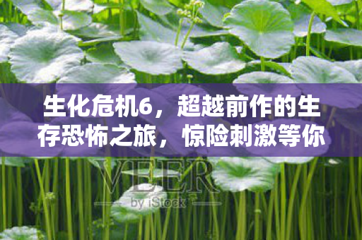 超越前作的生存恐怖之旅图片