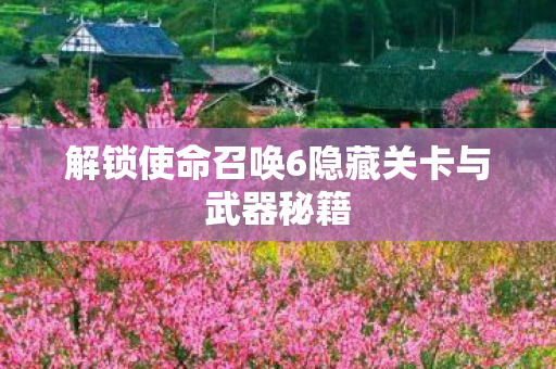 解锁使命召唤6隐藏关卡与武器秘籍图片