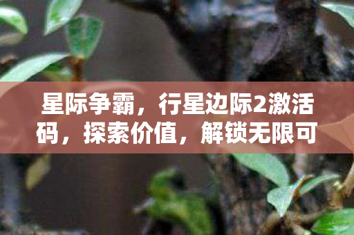 行星边际2激活码图片