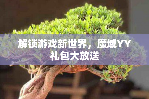 魔域YY礼包大放送图片