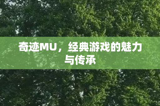 经典游戏的魅力与传承图片