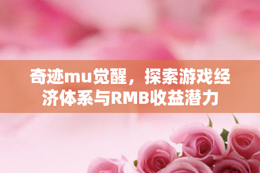 探索游戏经济体系与RMB收益潜力图片