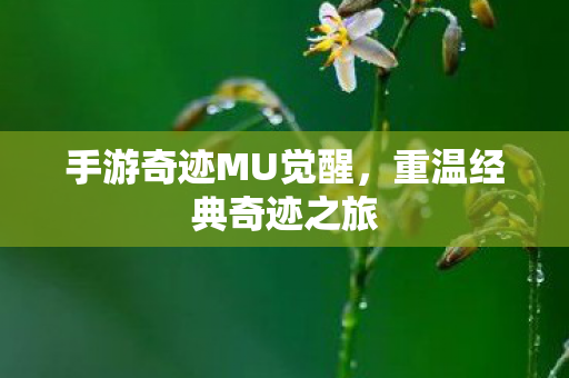 手游奇迹MU觉醒图片