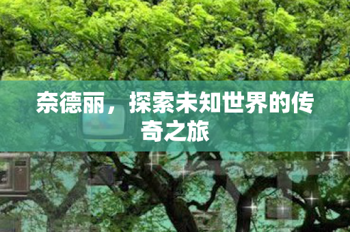 探索未知世界的传奇之旅图片
