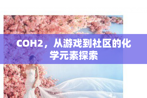 从游戏到社区的化学元素探索图片