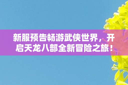 开启天龙八部全新冒险之旅图片