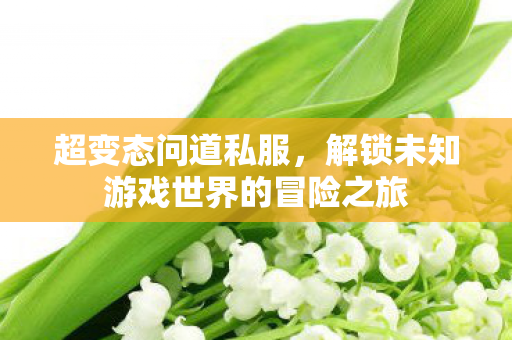 解锁未知游戏世界的冒险之旅图片