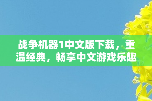 战争机器1中文版下载图片