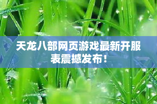天龙八部网页游戏最新开服表震撼发布图片