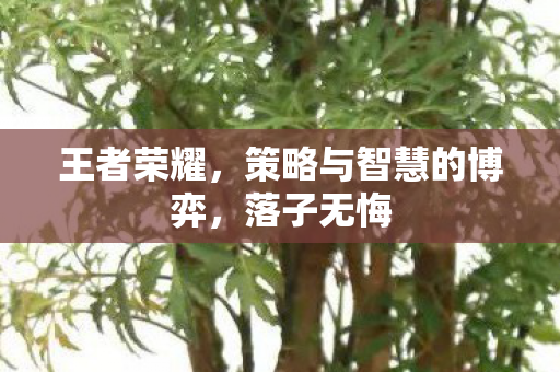 策略与智慧的博弈图片