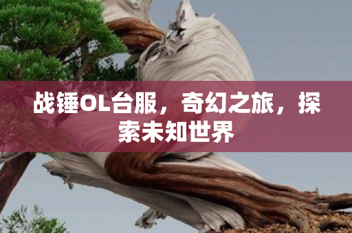 战锤OL台服图片