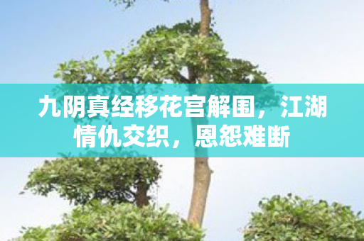 九阴真经移花宫解围图片