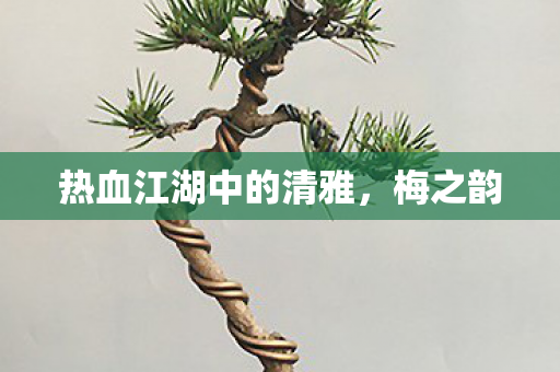 热血江湖中的清雅图片