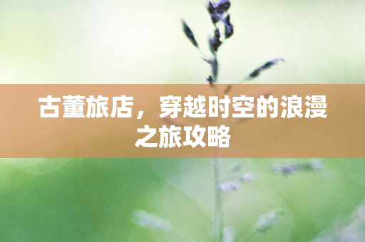 穿越时空的浪漫之旅攻略图片