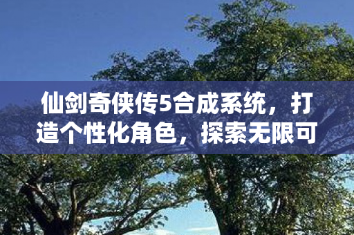 仙剑奇侠传5合成系统图片