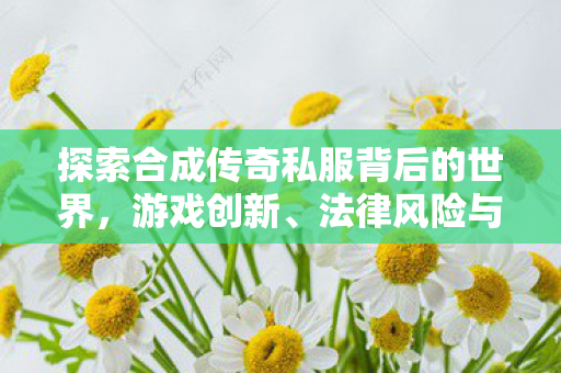 探索合成传奇私服背后的世界，游戏创新、法律风险与玩家视角，合成传奇私服背后的世界，游戏创新、法律风险与玩家视角