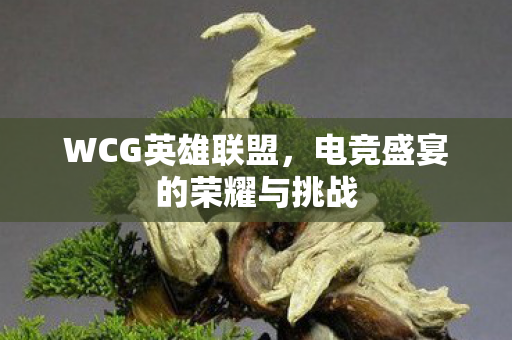 电竞盛宴的荣耀与挑战图片