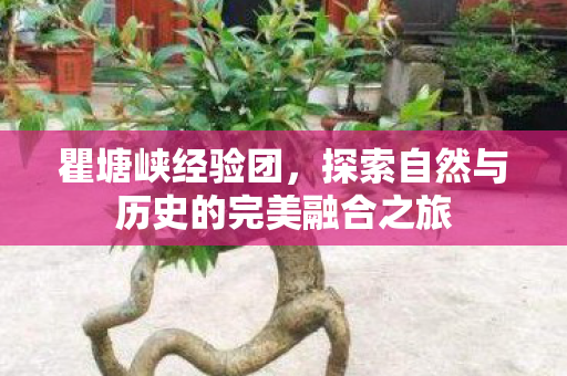 探索自然与历史的完美融合之旅图片