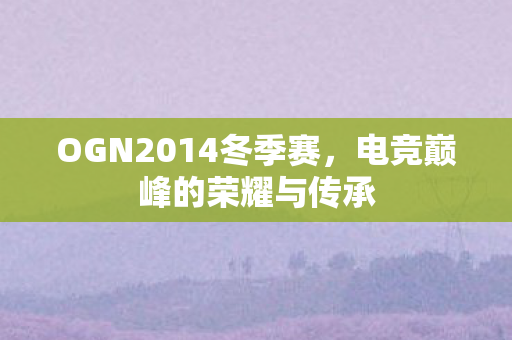 OGN2014冬季赛图片