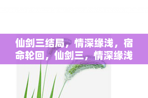宿命轮回的悲壮结局图片