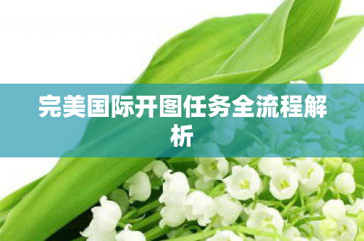 完美国际开图任务全流程解析图片