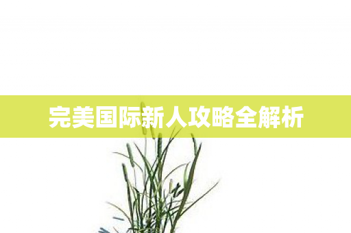 完美国际新人攻略全解析图片
