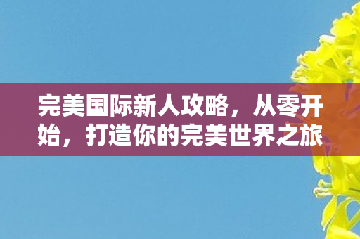 打造你的完美世界之旅图片