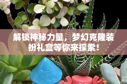 梦幻克隆装扮礼盒等你来探索图片