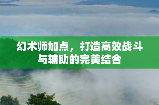 打造高效战斗与辅助的完美结合图片